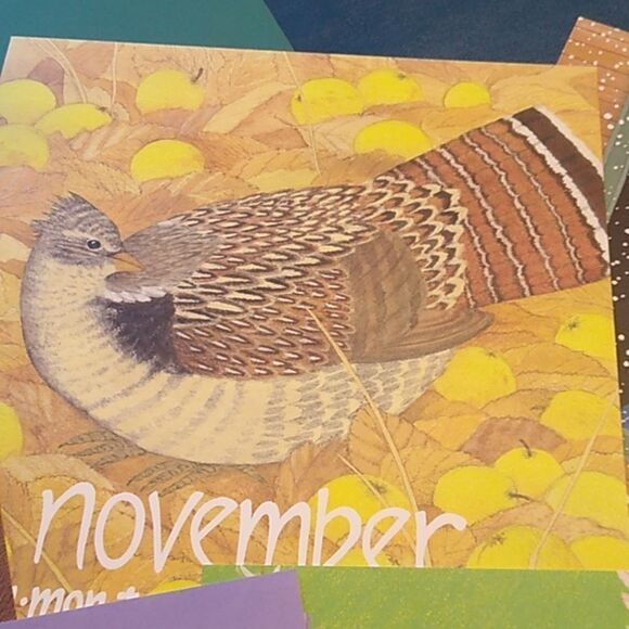 Vintage 1985 Nikki Schumann Poster Calendars in Plastic Frame Cottagecore - Picture 7 of 11